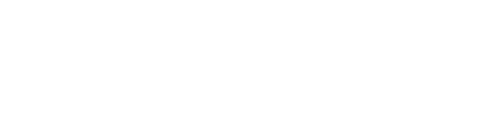 NHPCO logo: National Hospice and Palliative Care Organization. Accomplishments in end-of-life care.